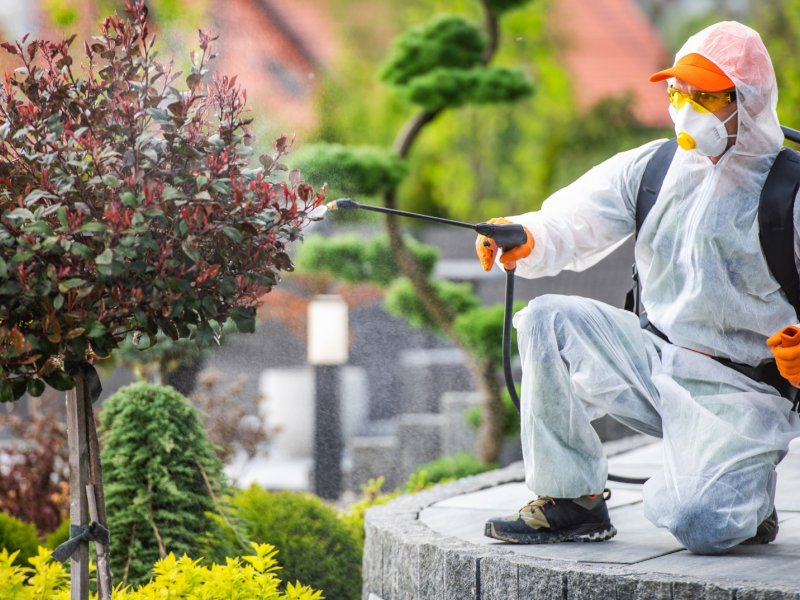 Balçova Haşere İlaçlama