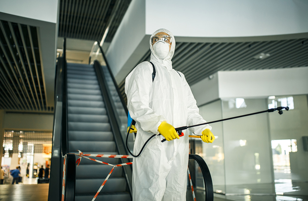 Balçova Haşere İlaçlama